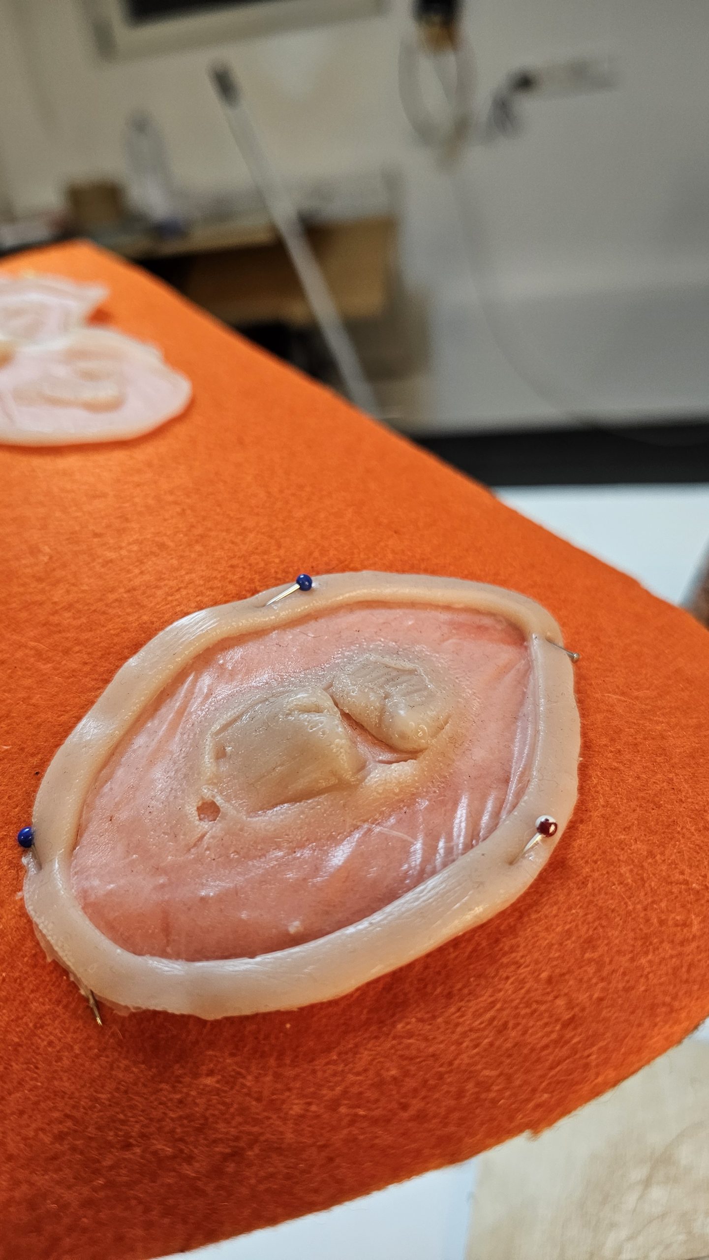 Silikon Prostetics
